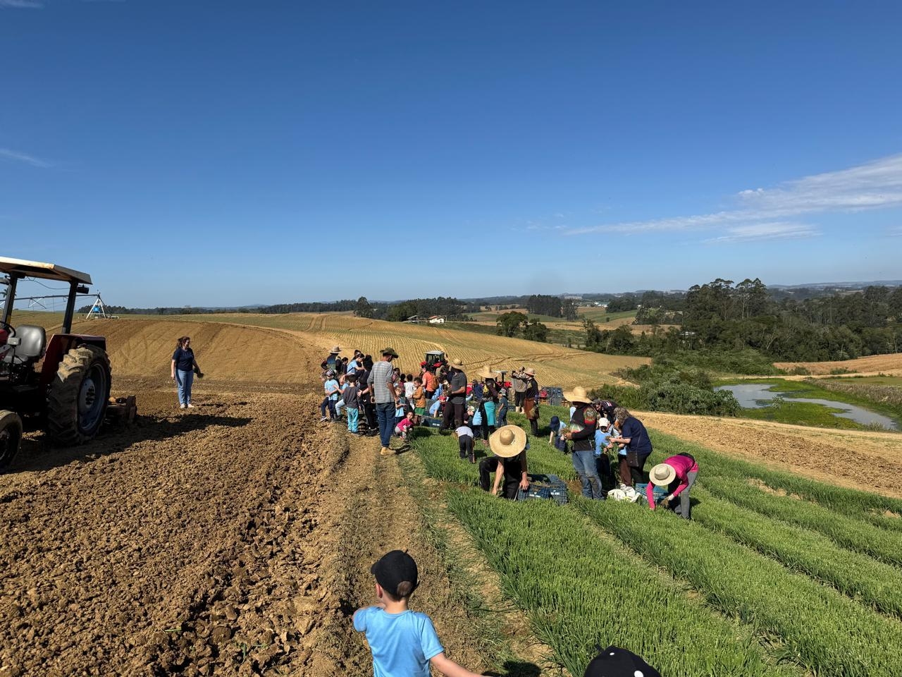 Vivência no campo: alunos do CEI Matilde Sens aprendem sobre o cultivo da cebola 